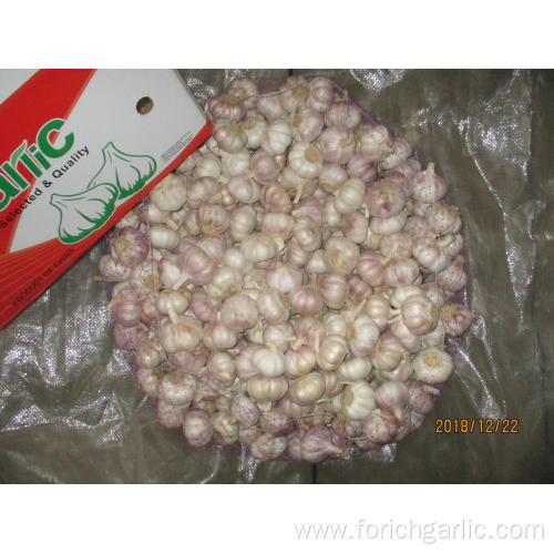 High Quality Standards Normal White Garlic